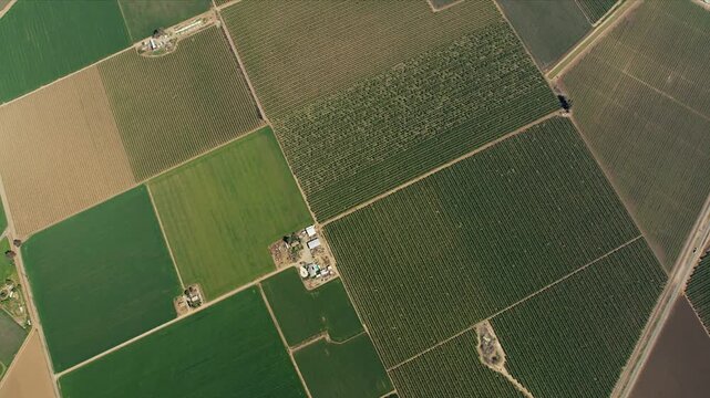 4K Aerial View of Extensive Agricultural Fields Patchwork San Joaquin Valley