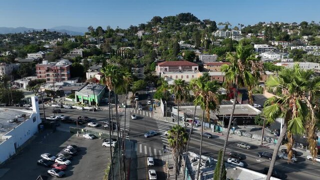 Palm framed aerial view of the historic Silver Lake neighborhood of Los Angeles, California, USA.
