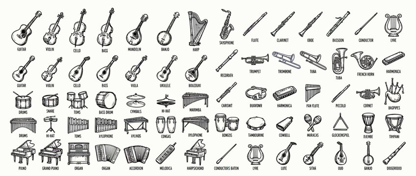 Collection of Hand-Drawn Musical Instruments
