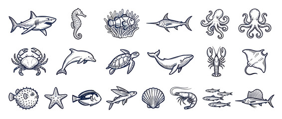 Hand-drawn marine life collection, sea creatures illustration © adhar