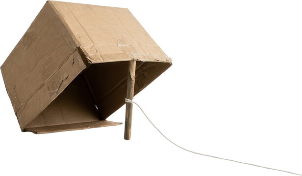 Homemade cardboard box trap propped open by a wooden stick and string showing the inside of the structure DIY craft twine bait capture animal trap snare hunter survival wilderness