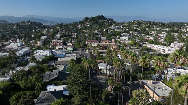 Palm framed aerial view of the historic Silver Lake neighborhood of Los Angeles, California, USA.