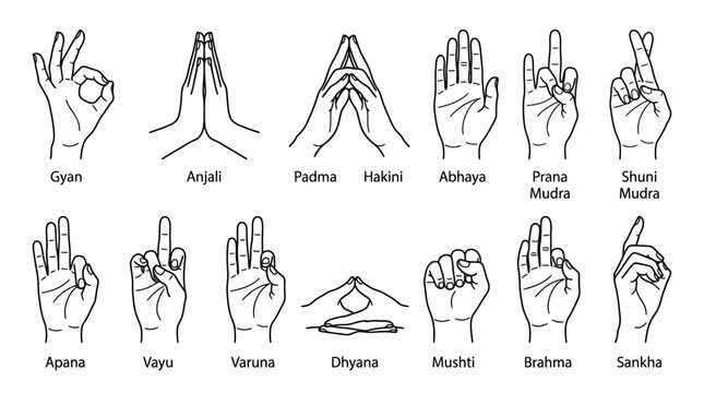 Detailed black and white vector illustration showing various hand mudra gestures for yoga and meditation