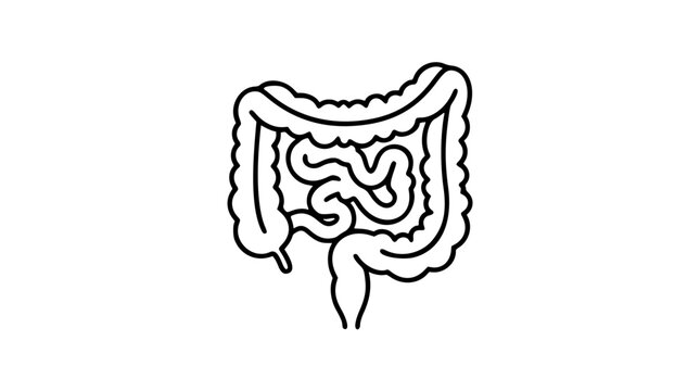 Inflamed Intestine Vector Illustration &ndash; Medical Line Art Icon for Healthcare and Digestive System