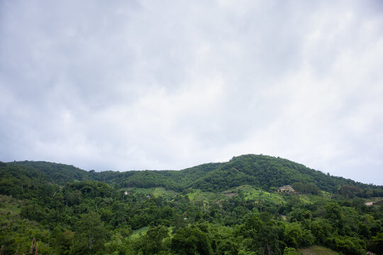 Green hill forest cloudy sky mountain landscape with lush tropical vegetation rolling ridge misty weather natural countryside and calm rural scenery