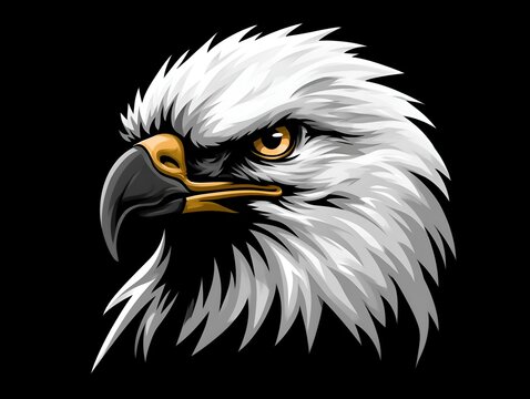 Vector illustration of a majestic bald eagle head with golden accents
