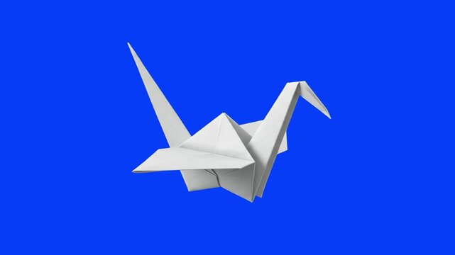 A detailed 3D model of a folded white paper origami crane bird, isolated against a solid vivid blue studio backdrop. Great for craft instructional videos, Japanese culture promos, paper art visuals, c