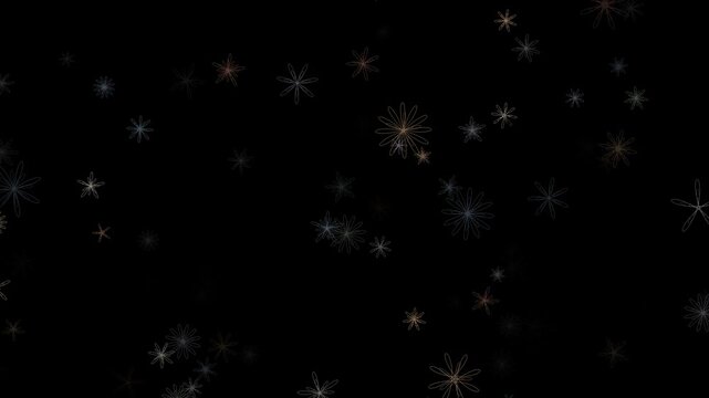 Delicate spirograph line art floral motifs scattered on dark background, modern algorithmic night meadow vector illustration