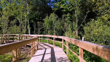 Obraz premium Smooth camera movement along a scenic wooden boardwalk winding through a dense green forest on a bright sunny day