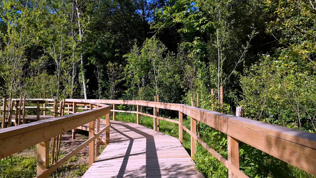 Smooth camera movement along a scenic wooden boardwalk winding through a dense green forest on a bright sunny day