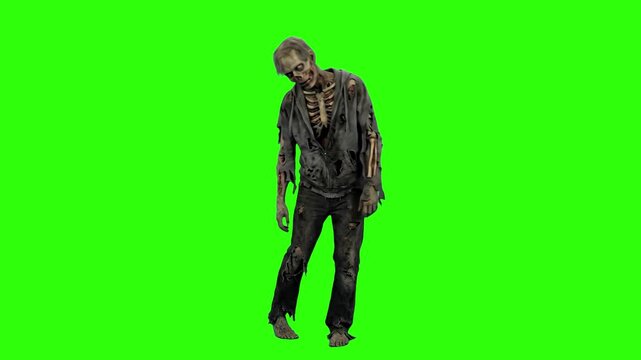 A full-body 3D animation of a decayed male zombie standing against a solid green screen. Great for chroma key compositing, horror films, and game development.