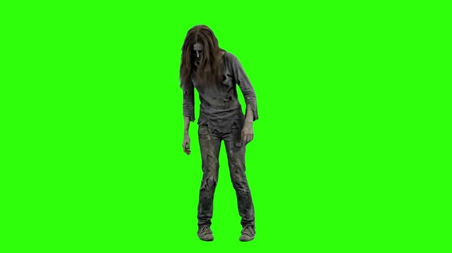 A terrifying 3D female zombie with tattered clothes standing isolated on a chroma key green background. Perfect for horror movie VFX, apocalypse game scenes, and haunted video projects.