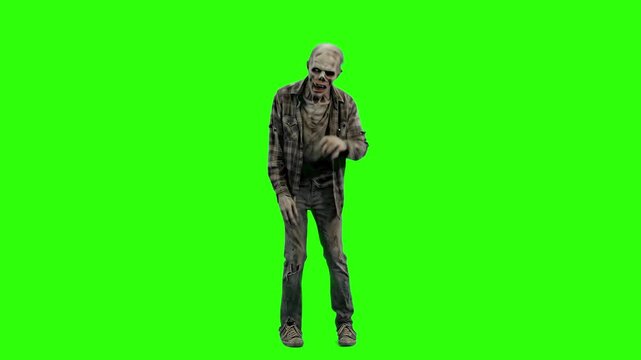 Full-body 3D animation of a thin, decayed male zombie standing motionless on a green screen. Great for chroma key compositing and horror VFX.