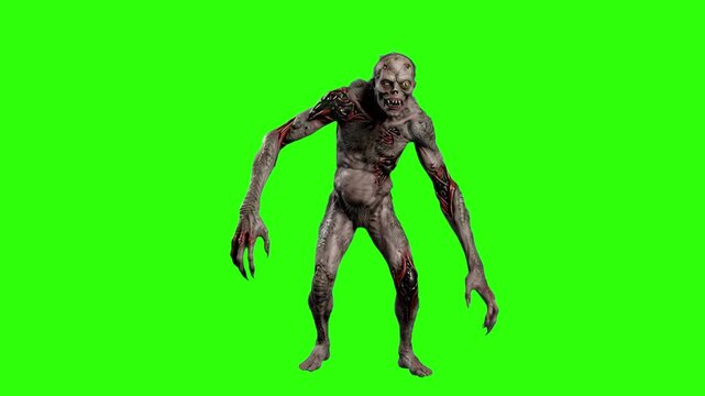 A creepy 3D mutant zombie creature with long arms standing isolated on a chroma key green background. Excellent for horror VFX keying, apocalyptic game design, and haunted theme assets.