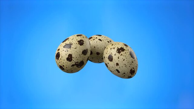 A group of three spotted quail eggs floating together against a vibrant blue backdrop. Ideal for Easter themes, healthy food concepts, and agricultural marketing graphics.