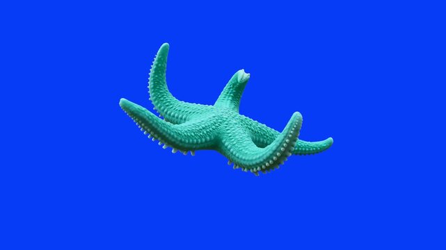 A detailed 3D model of a vibrant green starfish floating and moving its arms, set against a solid blue studio backdrop. Great for oceanography educational videos, marine biology promos, aquatic wildli