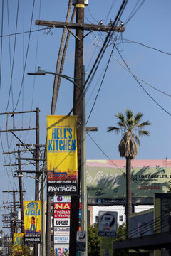 Los Angeles, California, USA - June 18, 2026: A palm tree is surrounded by signs and billboards in the Silver Lake neighborhood.