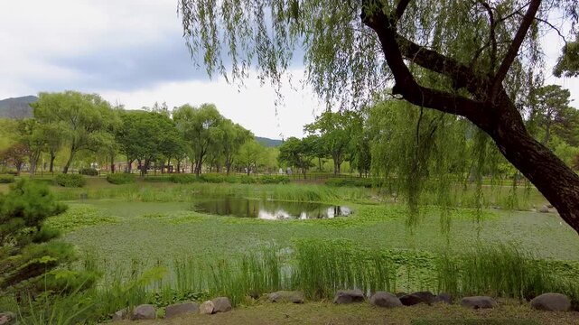 a pond in a three-way park