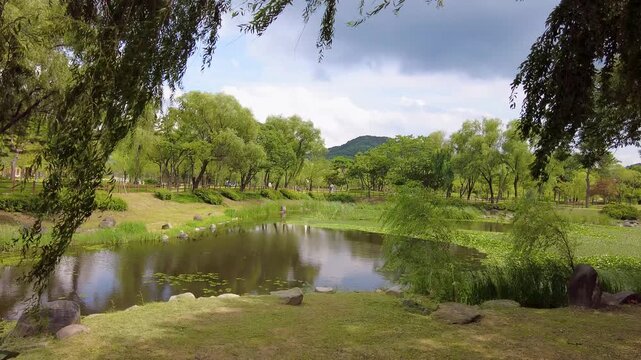 a pond in a three-way park