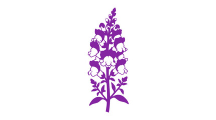 Purple Foxglove Flower Silhouette on White Background © Latif