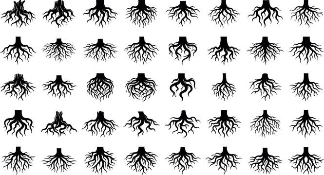 Detailed tree roots silhouette bundle featuring organic underground stump bases tangled network systems and natural forest botanical design elements pack