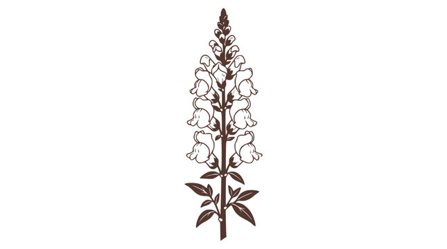 Elegant brown snapdragon flower outline illustration on white background