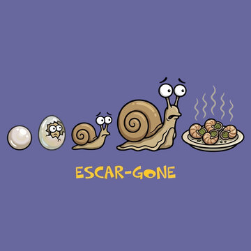 Snail evolution to plate meal.
