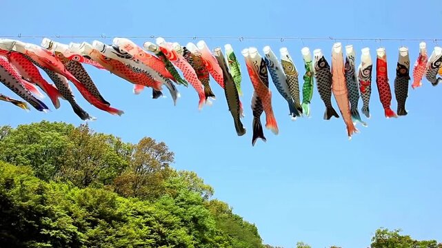 Colorful Japanese Koinobori Carp Streamers Flying in Clear Blue Sky