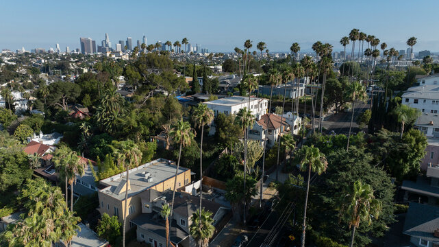 Los Angeles, California, USA - June 18, 2026: Palm trees of the Silver Lake neighborhood frame the downtown skyline.