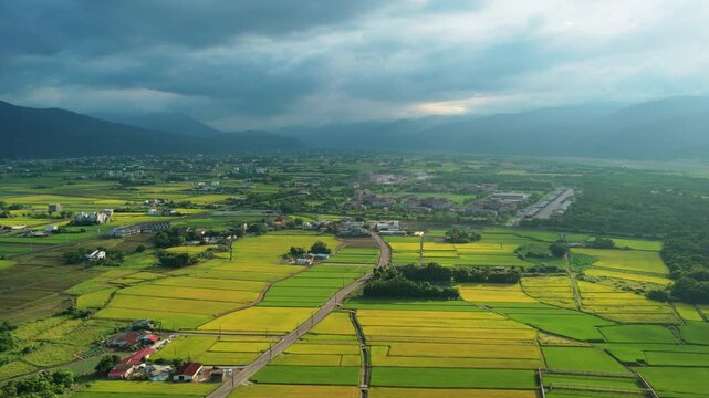 Aerial view of rice field in countryside of Yilan at morning, Taiwan