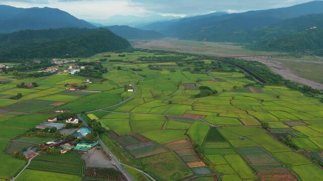 Aerial view of rice field in countryside of Yilan at morning, Taiwan