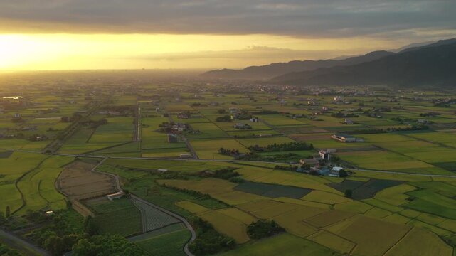 Aerial view of rice field in countryside of Yilan at morning, Taiwan