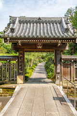 Fototapeta premium Traditional Japanese Temple Gate Opening to a Stone Pathway and Lush Garden