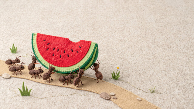 Handcrafted cut felt media illustration of a colony of ants carrying a bitten slice of red watermelon along a dirt path.
