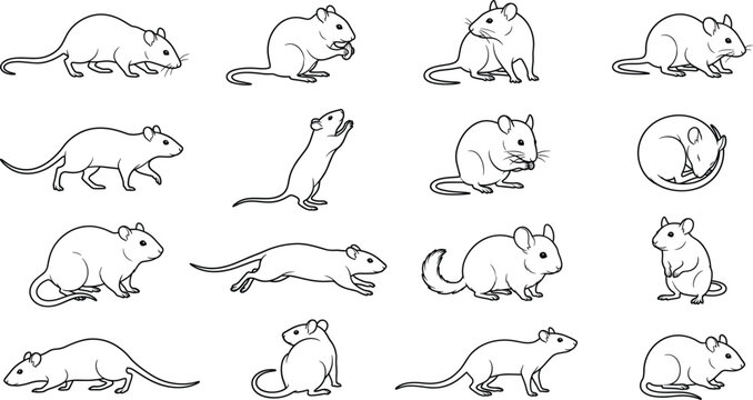 Hand Drawn Mouse and Small Rodent Outline Collection with Running Sitting and Feeding Line Art Vector Set