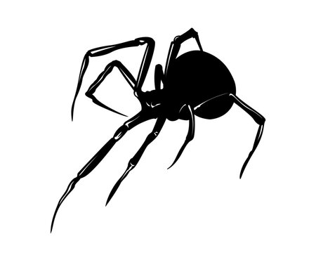 Black widow spider vector silhouette, poisonous arachnid icon isolated on white background, halloween and pest control design element.