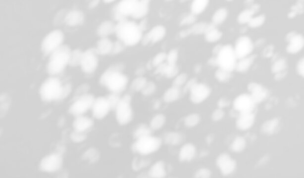 Soft dappled light shadow overlay effect on white wall isolated on transparent background
