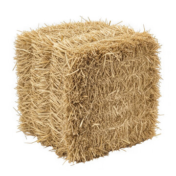 Close-up hay bale block on white background