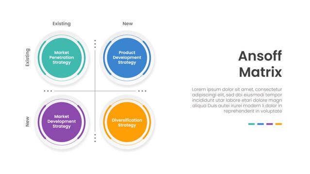 Ansoff matrix infographic template banner with big circle on quadrant structure line on left column for slide presentation