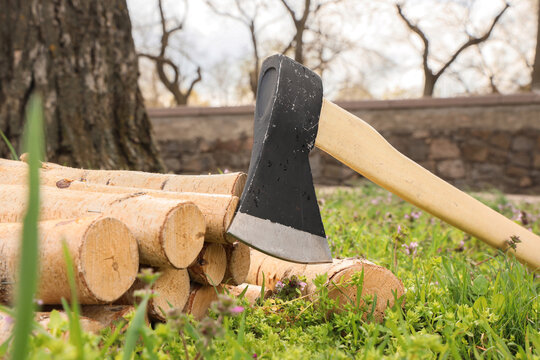 Sharp axe with birch logs on green grass in forest