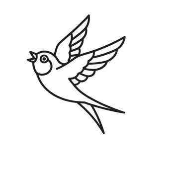 Swallow bird flying