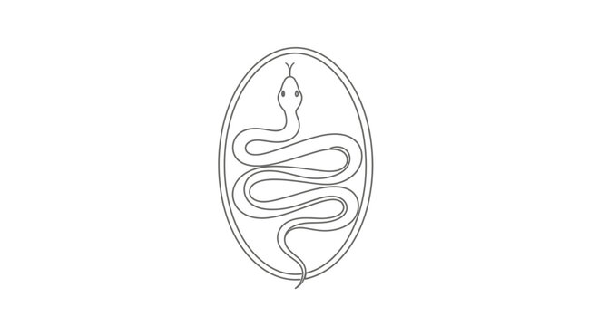 Ouroboros Snake Symbol - Infinite Loop, Cycle of Life, Eternity Black and White