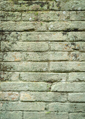 Weathered brick wall covered with moss and natural aging, featuring rough masonry texture and...