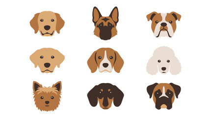 Fototapeta premium Collection of Various Popular Dog Breed Faces Featuring Flat Vector Illustrations for Animal Lovers and Veterinary Design Projects