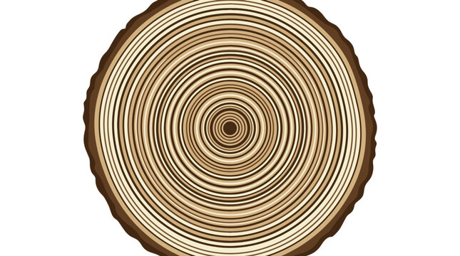 Tree trunk cross section with concentric growth rings