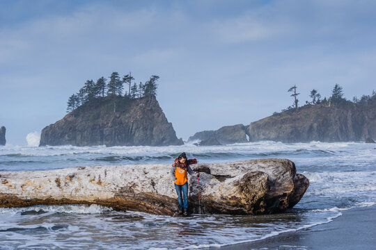 Lone photographer stands on a giant fallen log