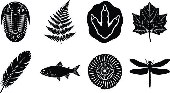 Prehistoric Fossil and Ancient Life Silhouette Icon Collection with Plants and Animals for Science Educational Graphic Design Projects
