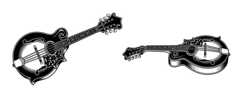Vintage Stringed Instruments Illustration
