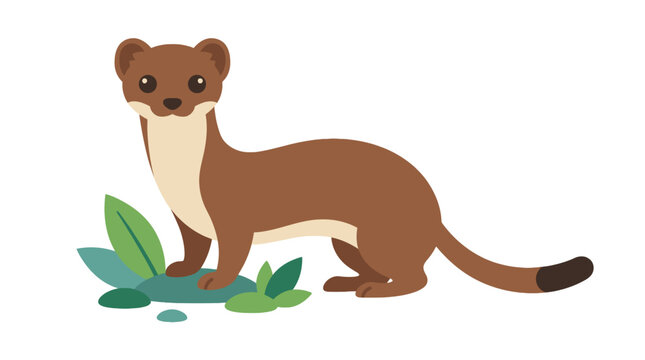 Cute brown weasel standing near green leaves with black tipped tail