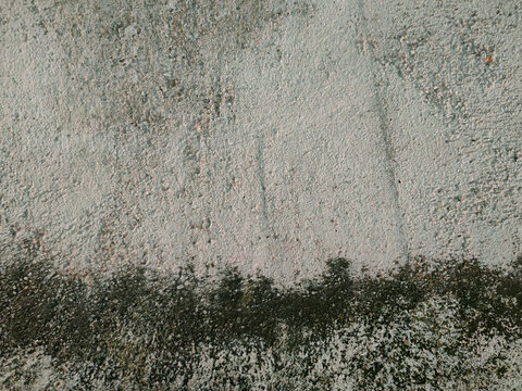 A textured concrete surface showing a contrast between lighter gray area above and dark mossy discoloration below